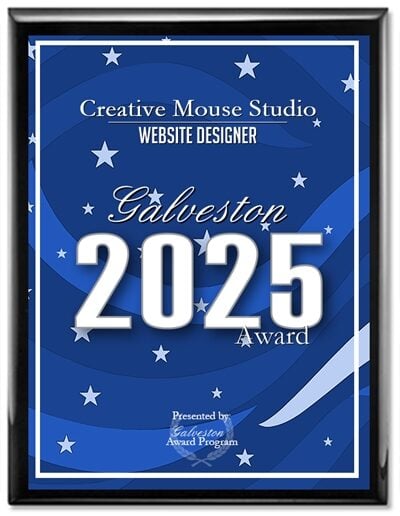 2025 Website Designer Award